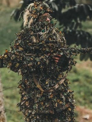Nelder